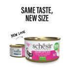 imgi_35_phase-1_phase2-EN_21121605