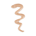 imgi_36_ALL_25200104_PT01_db92439f-7667-43ad-915a-a5be6c3ca065_2048x