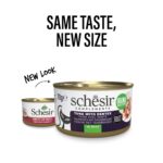 imgi_42_phase-1_phase2-EN_21122205