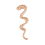 imgi_47_ALL_25231304_PT01_350513dd-54d6-4bc1-bec2-b4e45fa9f7f9_2048x