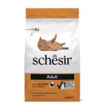 Complete and balanced dry food for adult cats